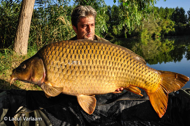 Radu Constantinescu - 20,4kg, stand A2.jpg