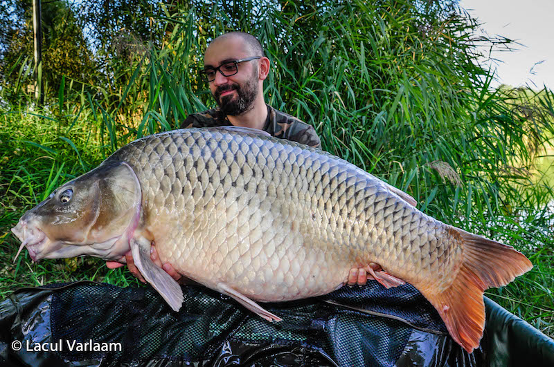 Cosmin Napar - 23,6kg, stand A4.jpg