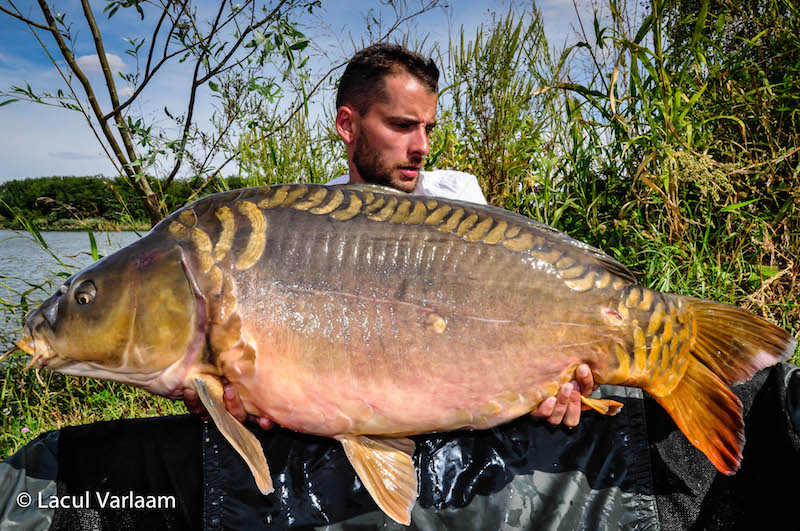 Mircea Arvinte - 20,1kg, stand B13.jpg