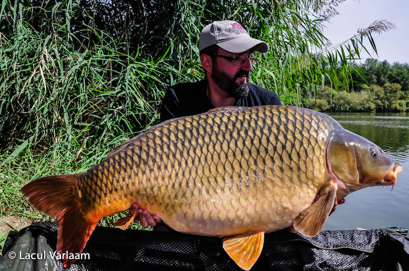 Sergiu Delcea - 26,2kg, stand A4.jpg