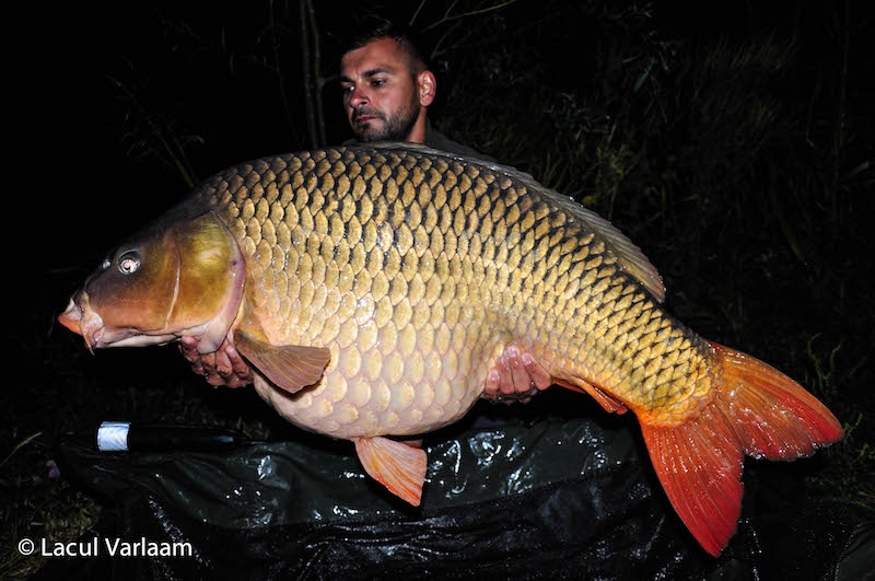 Marius Anghelache - 22,7kg, stand B13.jpg