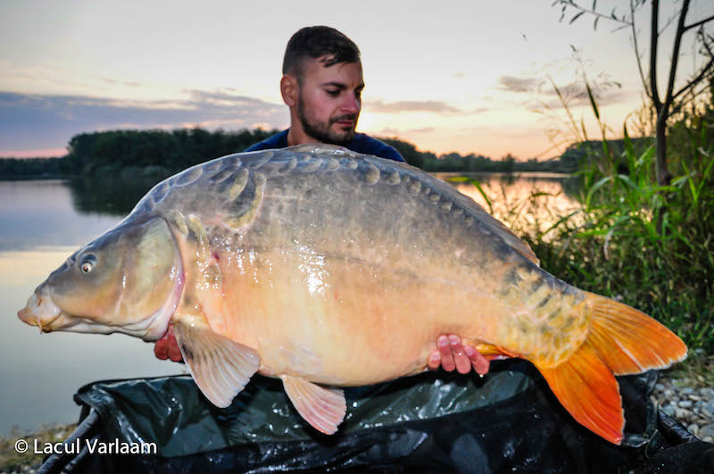 Marius Anghelache - 21,8kg, stand B13.jpg