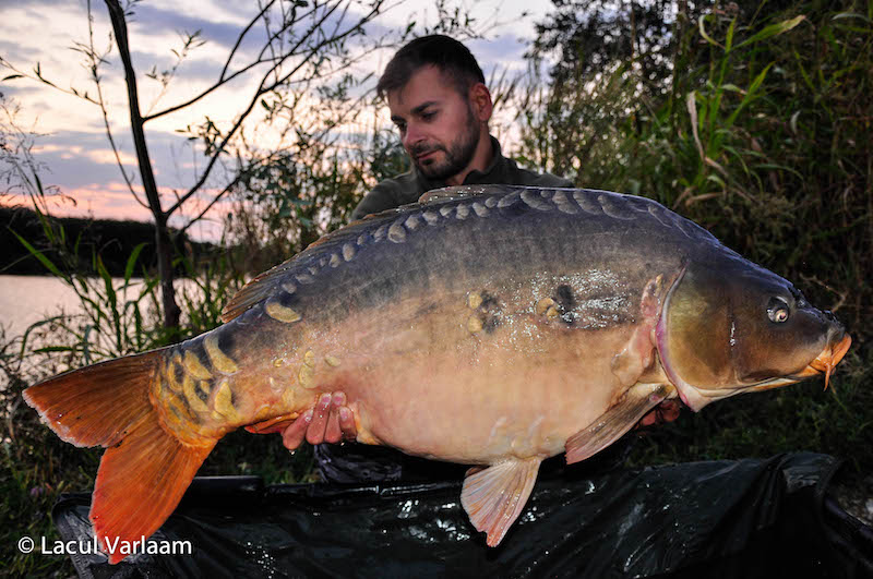 Marius Anghelache - 21,5kg, stand B13.jpg