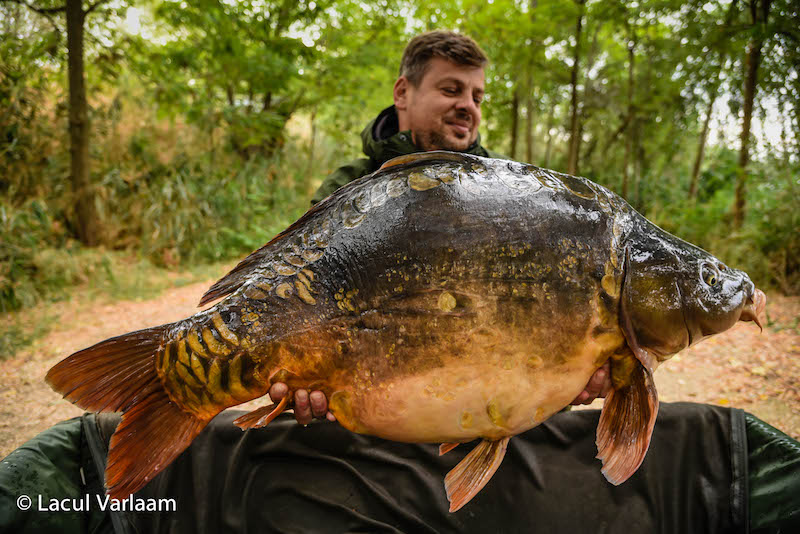 Madalin Barnea - 20kg, stand B8.jpg