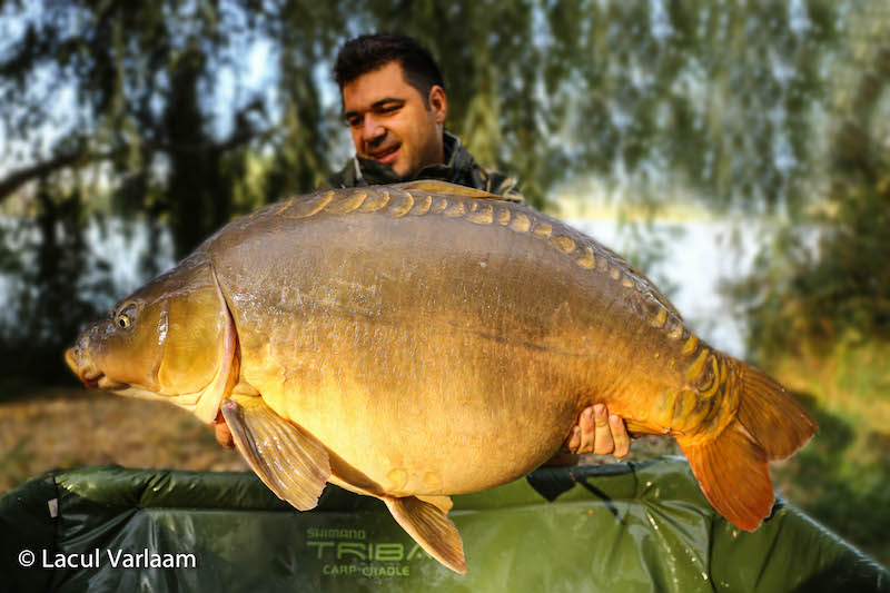 Mihai Perianu - 20,2kg, stand B7.jpg