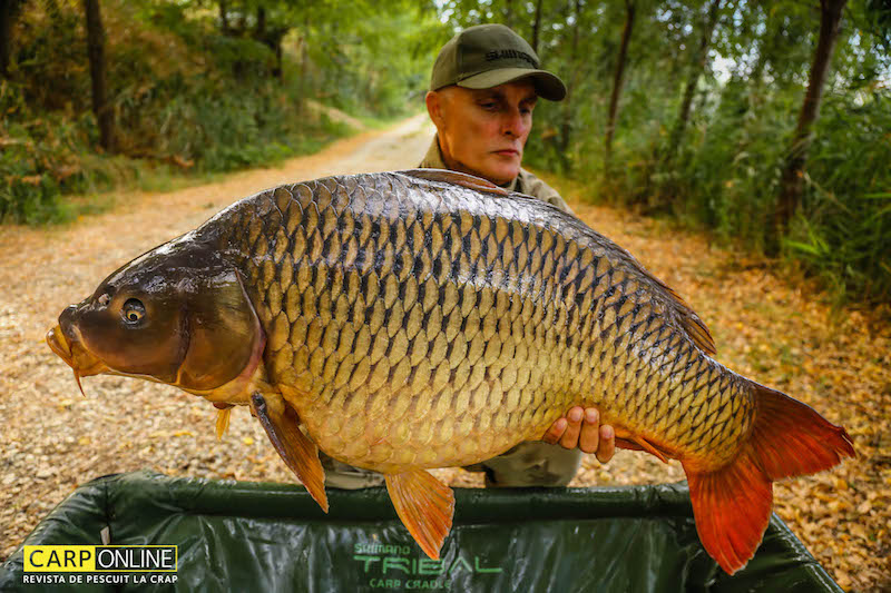 Vlad Pavlovici - 22,2kg, stand B8.jpg