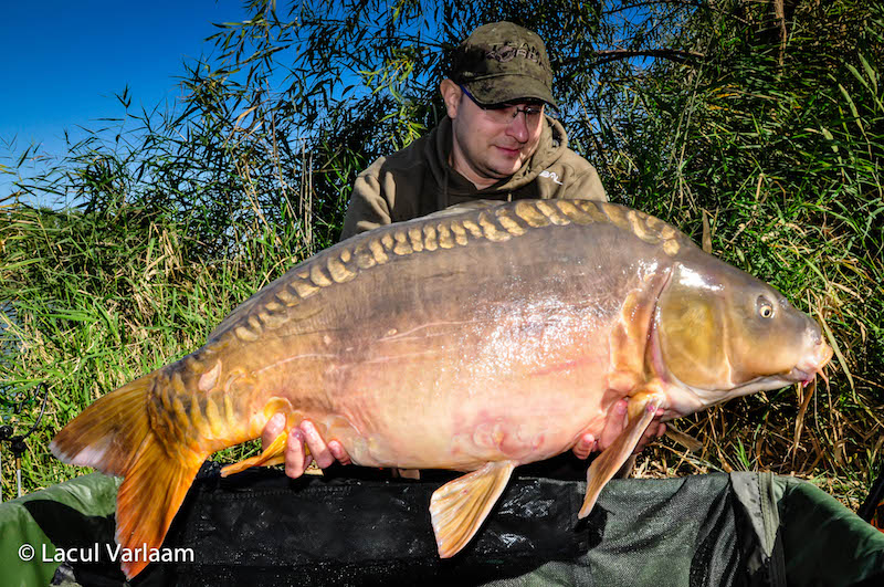 Alex Vaetis - 20,2kg, stand B1.jpg