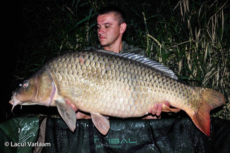 Florin Potcoveanu - 25,9kg, stand A9.jpg