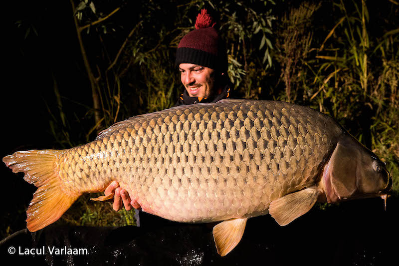 Mario Silaghi - 20,2kg, stand B13.jpg