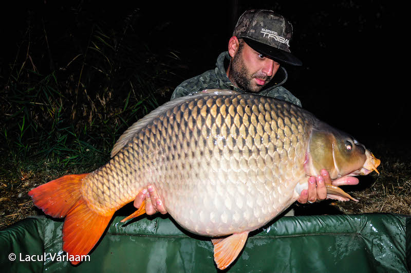 Valentin Trif - 19,5kg, stand B15.jpg