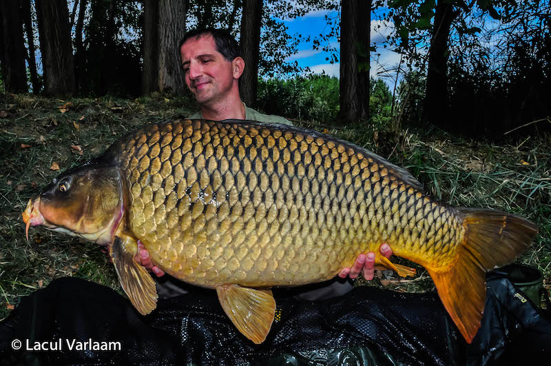 Victor Costache - 22,2kg, stand A4.jpg