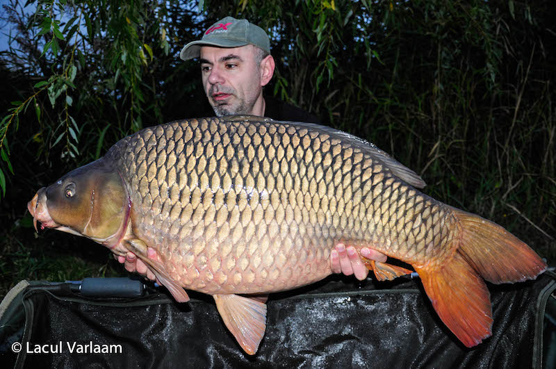 Cristian Stanoi - 21kg, stand B14.jpg