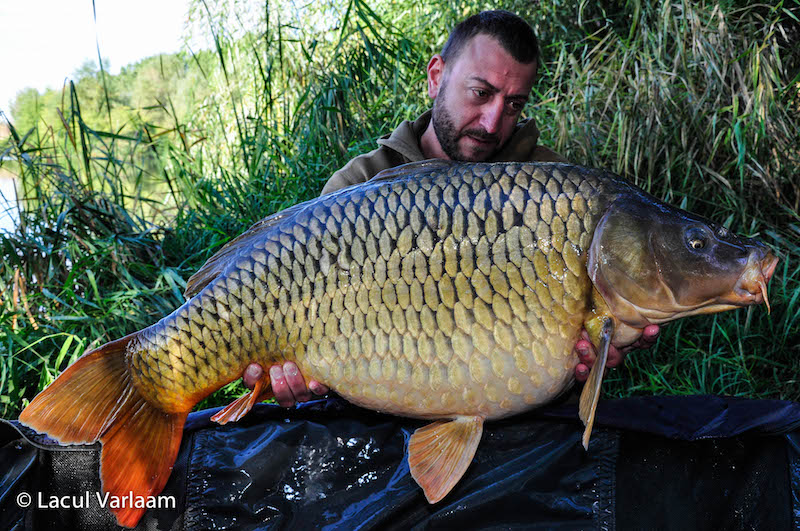 Andon Haralambov - 19,5kg, stand B8.jpg