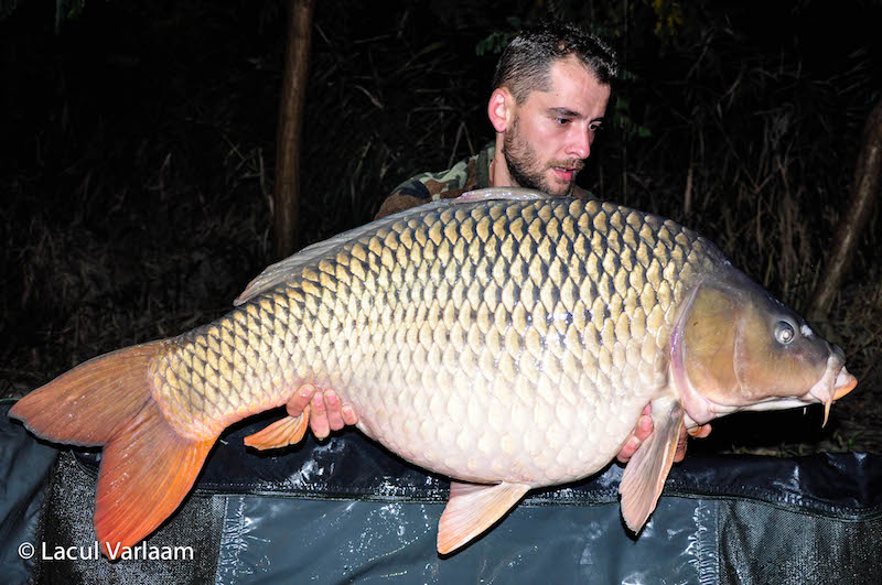 Mircea Arvinte - 21,4kg, stand B7.jpg