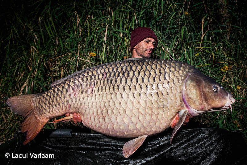 Andrei Colotelo - 32,2kg, stand A9.jpg