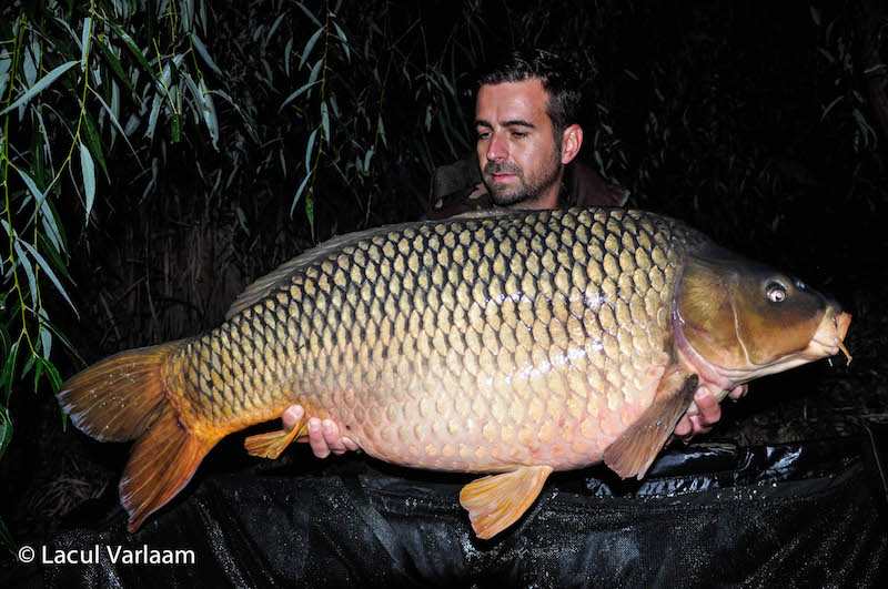 Claudiu Cioaba - 20,2kg, stand B4.jpg