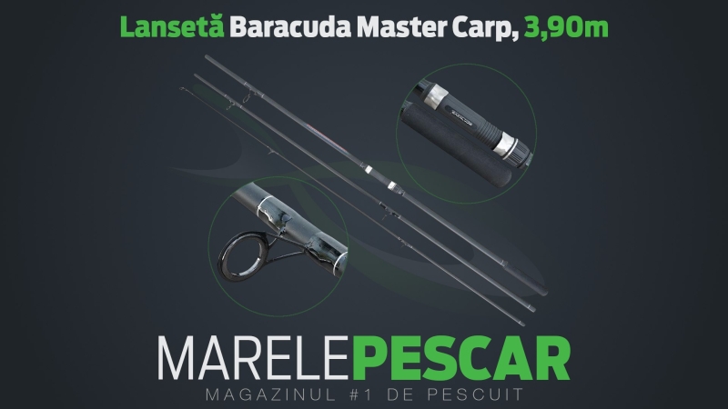 LANSETĂ BARACUDA MASTER CARP, 3,90M.jpg