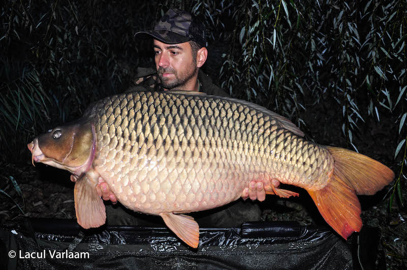 Claudiu Cioaba - 20,8kg, stand B4.jpg