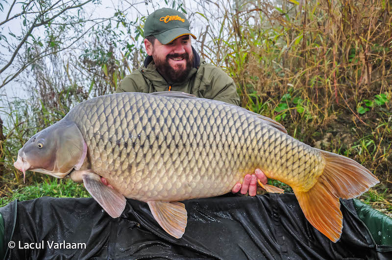 Cristi Stoia - 20,5kg, stand B13.jpg