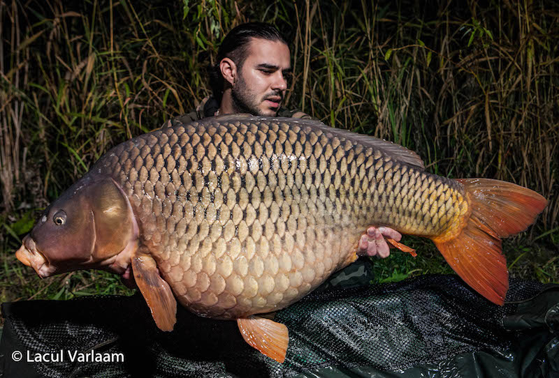 Abdo Taljbene - 23,8kg, stand B13.jpg