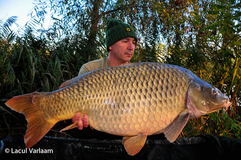 Pompiliu Mihai - 20,6kg, stand A6.jpg