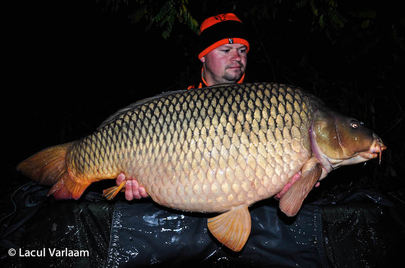 Andrei Laza - 21,6kg, stand B8.jpg