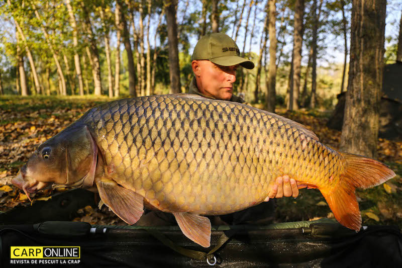 Vlad Pavlovici - 21,3kg, stand A6.jpg