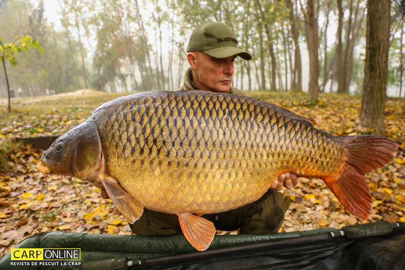 Vlad Pavlovici - 28,5kg, stand A6.jpg