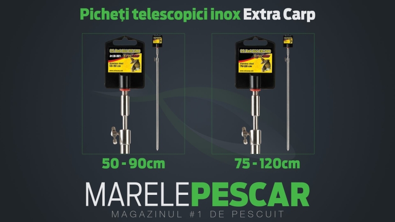 PICHEȚI TELESCOPICI INOX EXTRA CARP.jpg