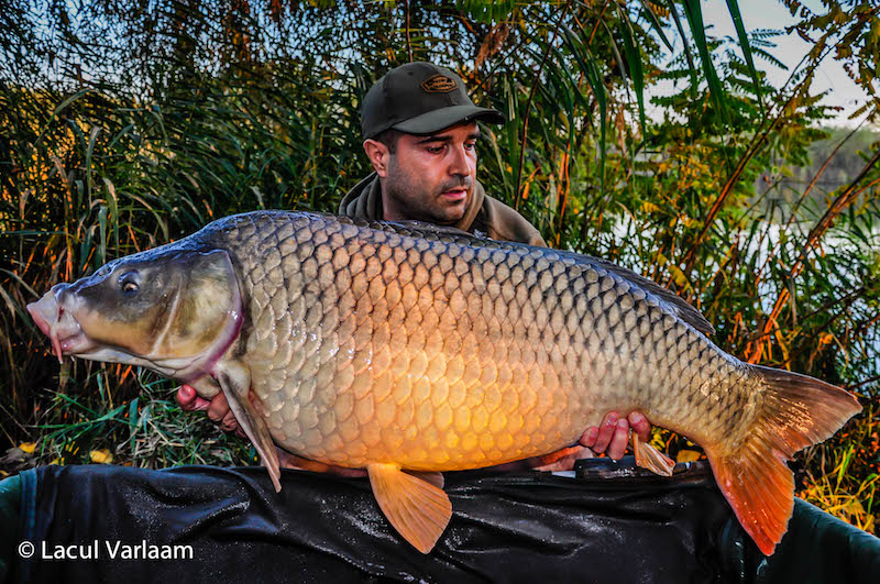 Marius Colan - 20,9kg, stand A6.jpg