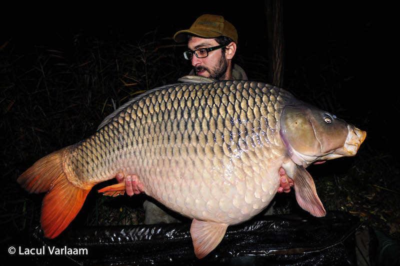 Giorgi Georgiev - 22,8kg, stand B15.jpg