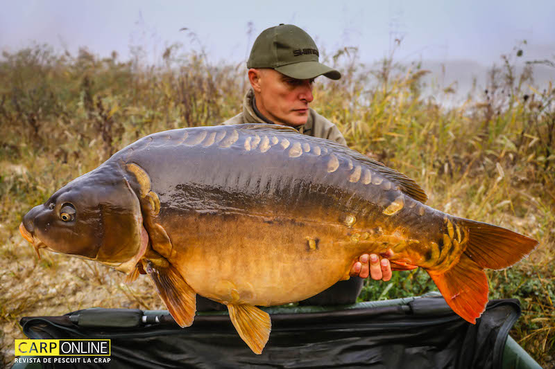 Vlad Pavlovici - 24,6kg, stand B13.jpg