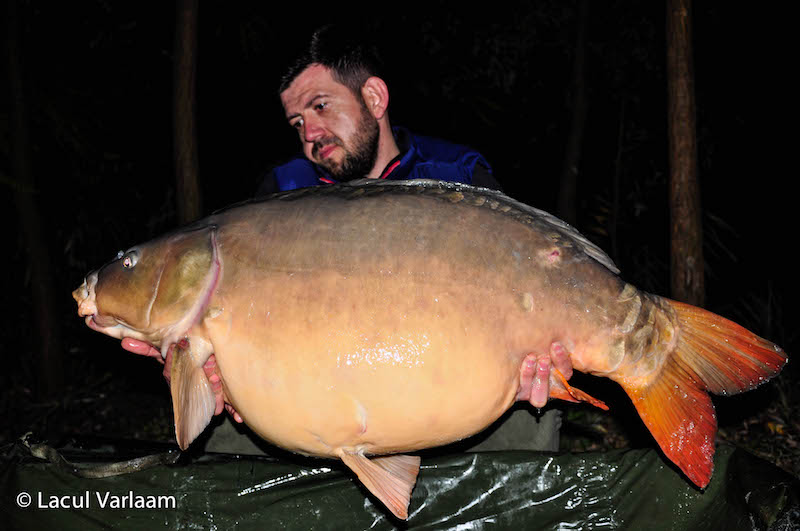 Laurentiu Iagaru - 21,5kg, stand B8.jpg