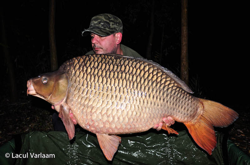 Mircea Dartu - 24,5kg, stand B8.jpg