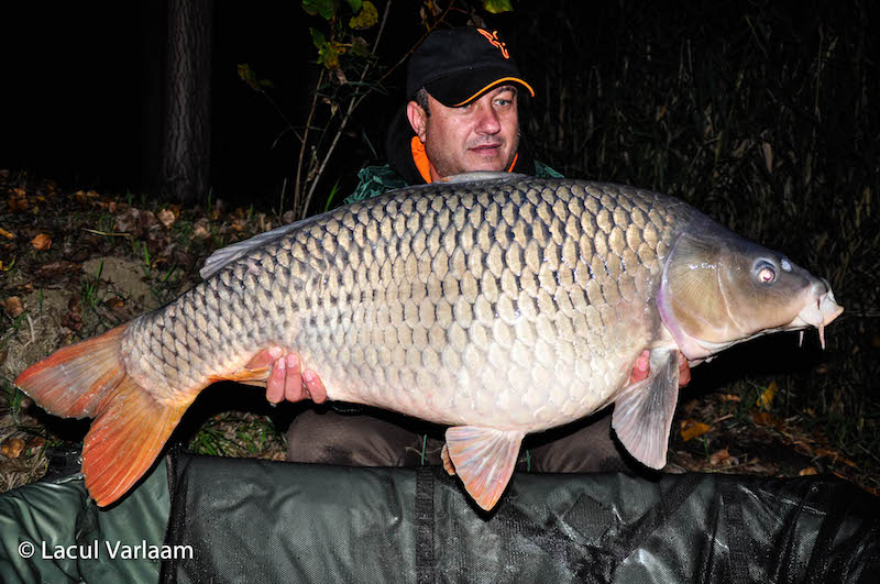 Iulian Ciufu - 20kg, stand A4.jpg