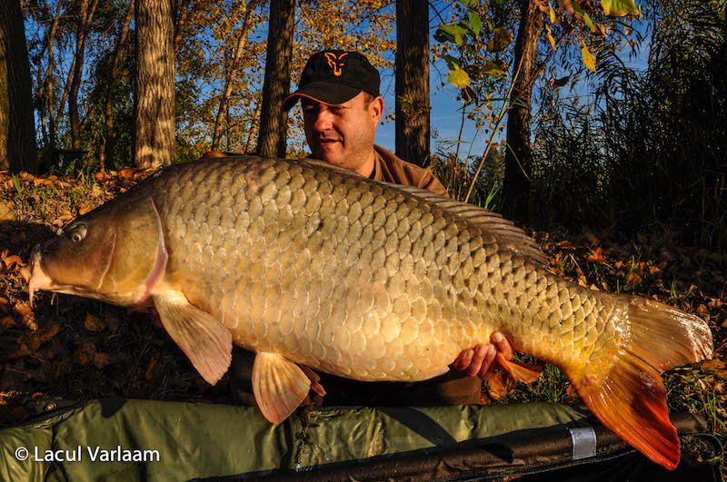 Iulian Ciufu -26,4kg, stand A4.jpg