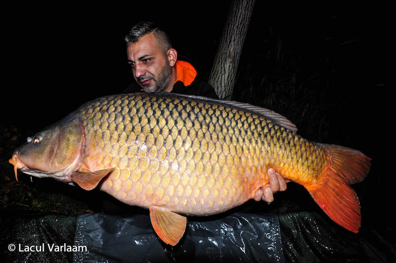 Alin Mociornita - 20kg, stand A2.jpg