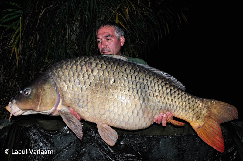 Pompiliu Mihai - 26,6kg, stand A4.jpg