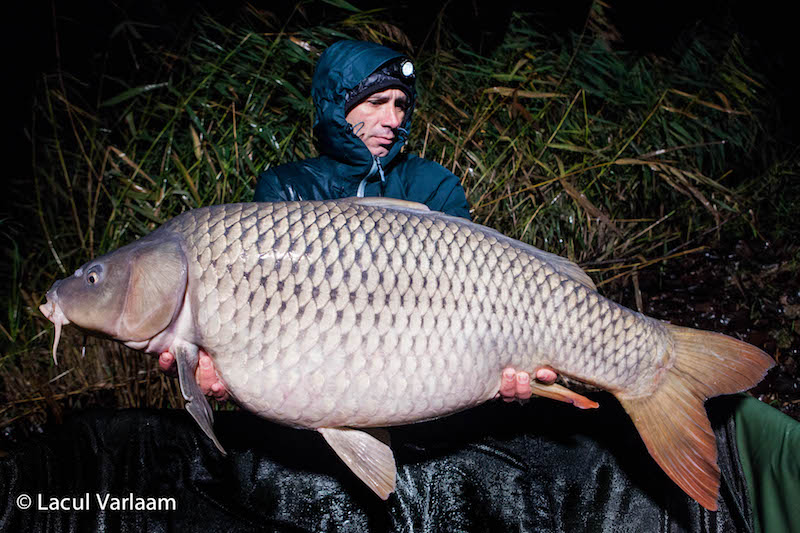 Andrei Colotelo - 20,2kg, stand A8.jpg