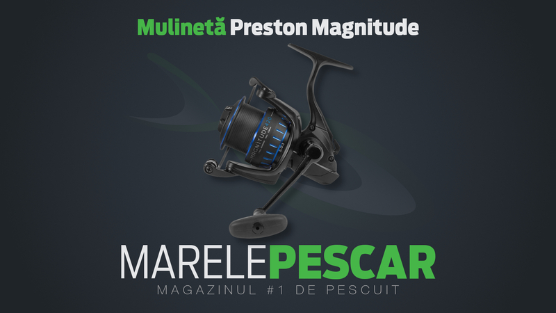Mulinetă-Preston-Magnitude.jpg