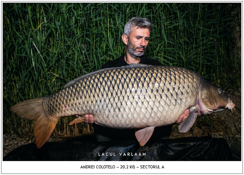 Andrei Colotelo - 20,2kg, Sectorul A.jpg