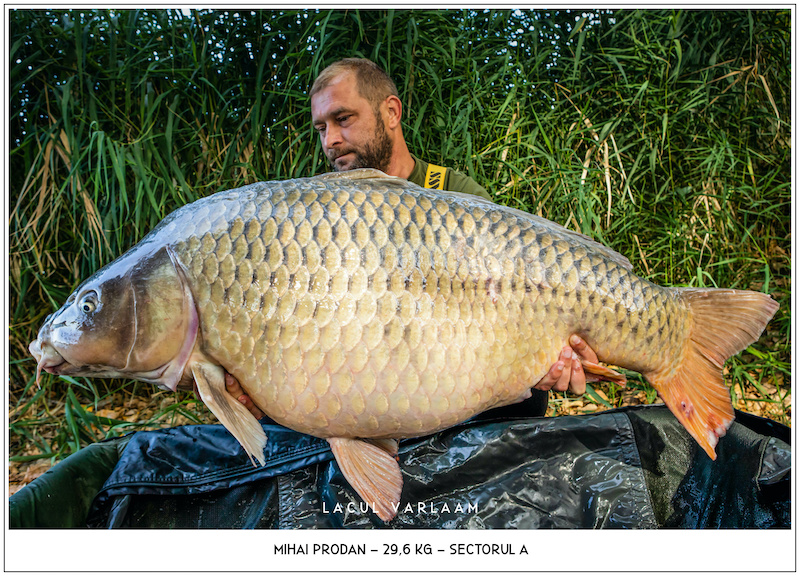 Mihai Prodan - 29,6kg, Sectorul A.jpg