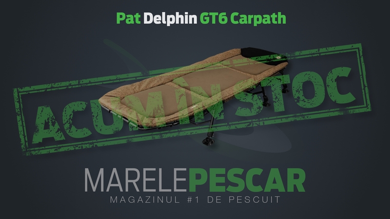 Pat-Delphin-GT6-Carpath-acum-in-stoc.jpg