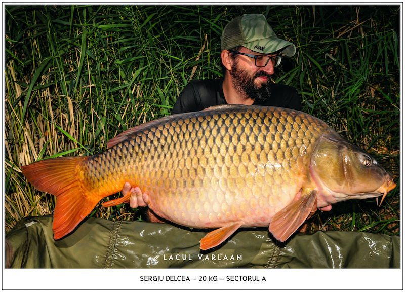 Sergiu Delcea - 20kg, Sectorul A.jpg