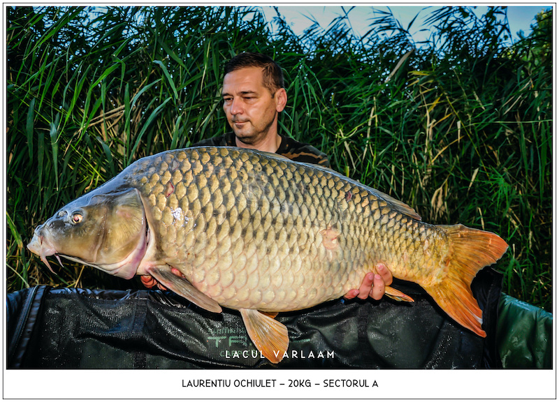 Laurentiu Ochiulet - 20kg, Sectorul A.jpg