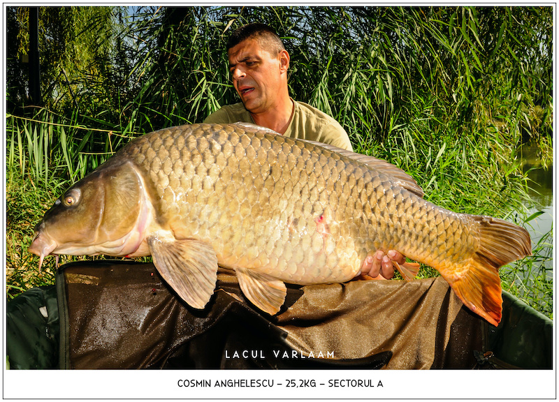 Cosmin Anghelescu - 25,2kg, Sectorul A.jpg