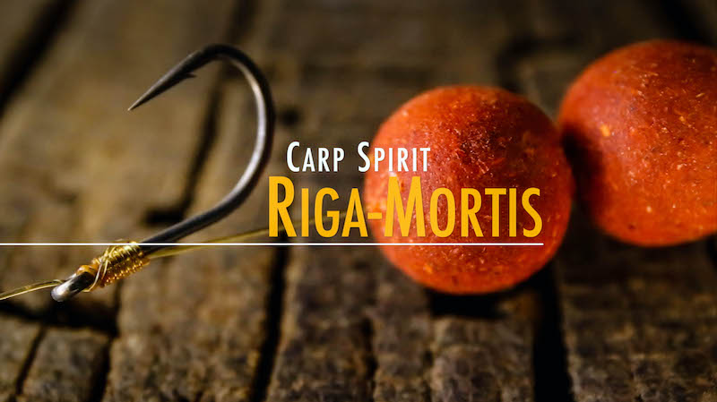 Carp Spirit Riga-Mortis.jpg