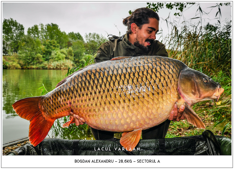 Bogdan Alexandru - 28,6kg, Sectorul A.jpg