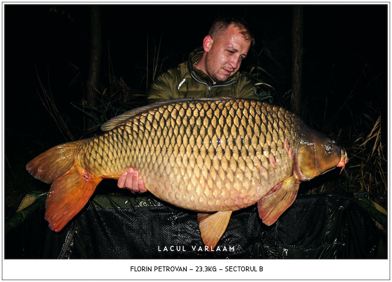 Florin Petrovan - 23,3kg, Sectorul B.jpg