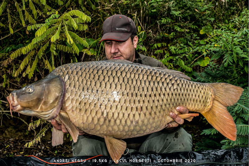 Andrei Negru - 19,5kg #1.jpg